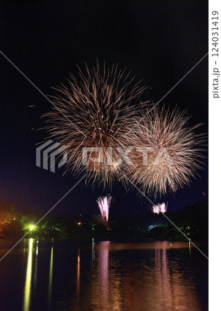 岩手県盛岡市　夜空と花火 124031419