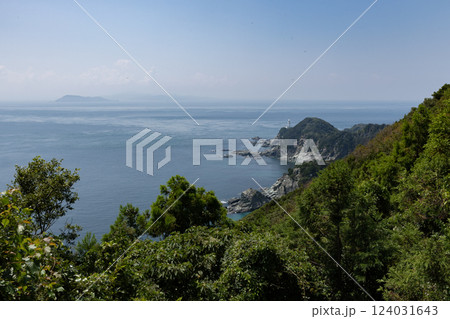 佐田岬(愛媛県伊方町) 佐田岬(愛媛県伊方町) 124031643