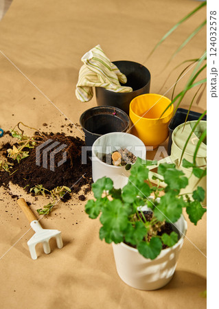Gardening tools and potted plants during repotting process. Houseplant care Gardening tools and potted plants during repotting process. Houseplant care 124032578