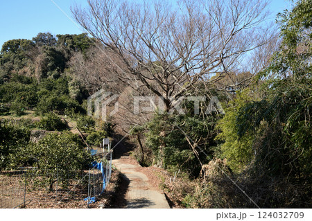 糸我峠　【和歌山県有田市・湯浅町】 124032709
