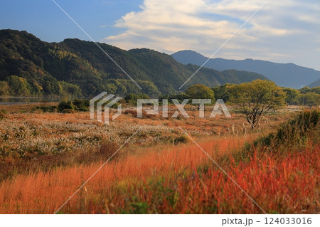 秋の河川敷 124033016