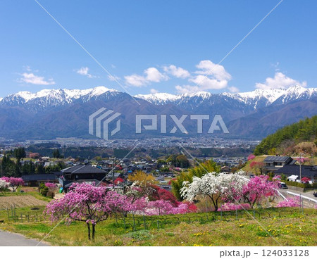 写真素材: 駒ケ根市・中沢の花桃と町と中央アルプスの春景色 写真素材: 駒ケ根市・中沢の花桃と町と中央アルプスの春景色 124033128