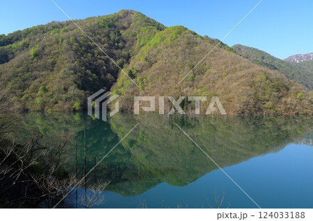 透明度の高い徳山湖 124033188