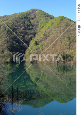 透明度の高い徳山湖 透明度の高い徳山湖 124033190