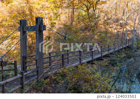 （山梨県）遊歩道の紅葉が美しい昇仙峡・愛のかけ橋 124033501