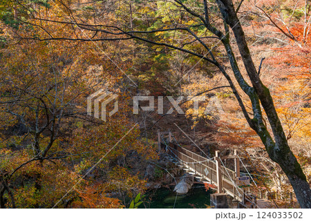 (山梨県)遊歩道の紅葉が美しい昇仙峡・愛のかけ橋 (山梨県)遊歩道の紅葉が美しい昇仙峡・愛のかけ橋 124033502