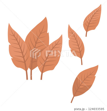 Elements of Orange Tropical Leaves Foliage Plant in the Park Garden 124033595