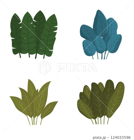 Set of Green Fresh Tropical Leaves Foliage Plant in the Park Garden 124033596