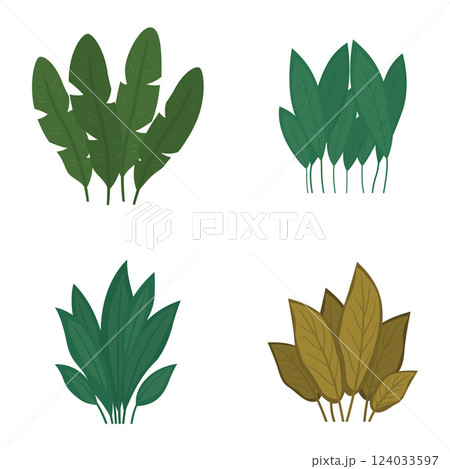 Set of Green Fresh Tropical Leaves Foliage Plant in the Park Garden Set of Green Fresh Tropical Leaves Foliage Plant in the Park Garden 124033597