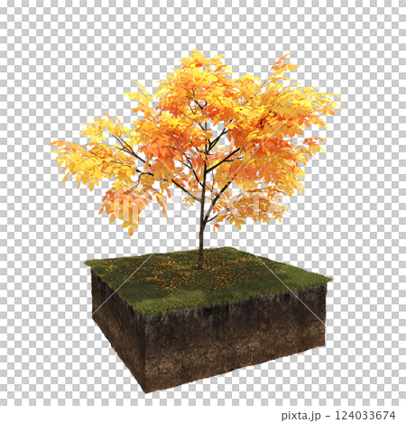 Autumn tree and soil cut under it. isolate on a transparent background, 3D illustration, cg render 124033674