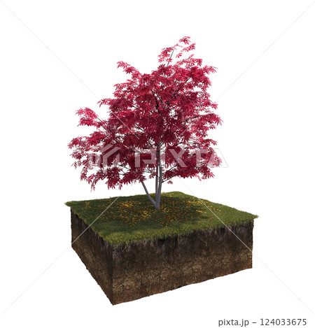 Autumn tree and soil cut under it. isolate on a transparent background, 3D illustration, cg render Autumn tree and soil cut under it. isolate on a transparent background, 3D illustration, cg render 124033675