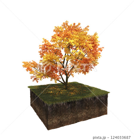 Autumn tree and soil cut under it. isolate on a transparent background, 3D illustration, cg render 124033687