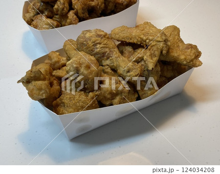 Fried Chicken and Soy Sauce Chicken 124034208