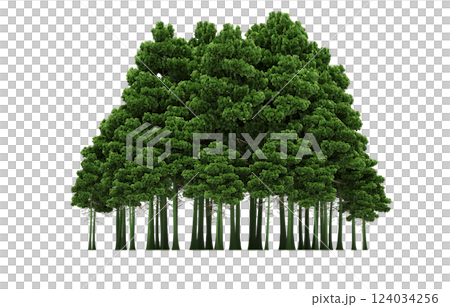 group of trees isolated on a transparent background, forest, sketch, outline illustration, cg render group of trees isolated on a transparent background, forest, sketch, outline illustration, cg render 124034256