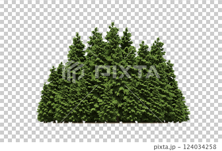 group of trees isolated on a transparent background, forest, sketch, outline illustration, cg render group of trees isolated on a transparent background, forest, sketch, outline illustration, cg render 124034258