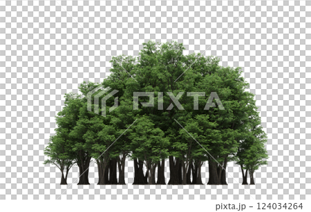 group of trees isolated on a transparent background, forest, sketch, outline illustration, cg render group of trees isolated on a transparent background, forest, sketch, outline illustration, cg render 124034264