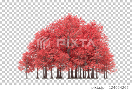 group of trees isolated on a transparent background, forest, sketch, outline illustration, cg render 124034265