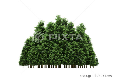 group of trees isolated on a transparent background, forest, sketch, outline illustration, cg render 124034269