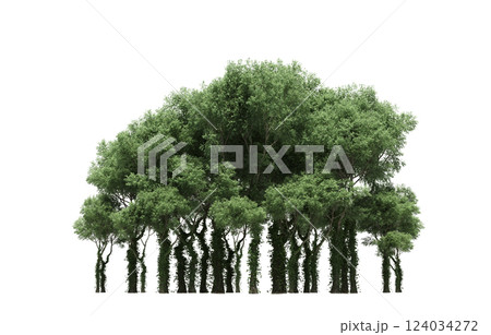 group of trees isolated on a transparent background, forest, sketch, outline illustration, cg render 124034272