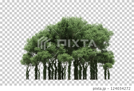 group of trees isolated on a transparent background, forest, sketch, outline illustration, cg render 124034272