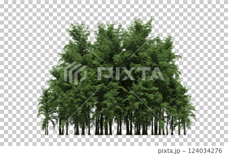 group of trees isolated on a transparent background, forest, sketch, outline illustration, cg render group of trees isolated on a transparent background, forest, sketch, outline illustration, cg render 124034276