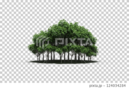 group of trees isolated on a transparent background, forest, sketch, outline illustration, cg render group of trees isolated on a transparent background, forest, sketch, outline illustration, cg render 124034284
