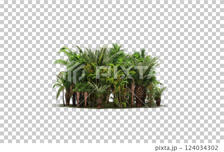 group of trees isolated on a transparent background, forest, sketch, outline illustration, cg render 124034302