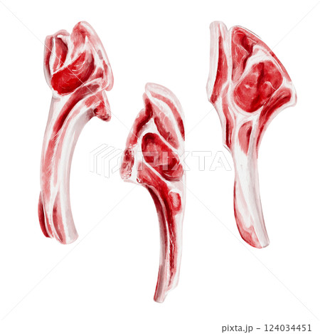 Set of meat on the bone. Different types of meat for barbecue. Lamb on the bone. Watercolor illustration isolated from the background. Raw red beef meat. For menu and recipes, for butcher shop.  124034451