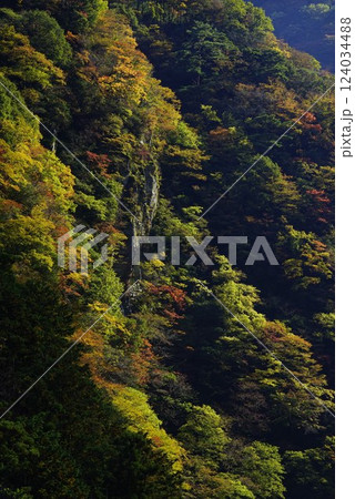 紅葉する山々 124034488