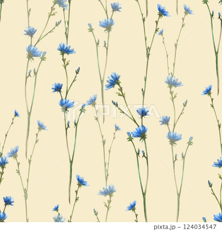 Blue wildflower. Cornflower or chicory field plant with flowers and buds seamless pattern. Watercolor hand drawn illustration Realistic clipart for fabric, summer floral print Isolated from background Blue wildflower. Cornflower or chicory field plant with flowers and buds seamless pattern. Watercolor hand drawn illustration Realistic clipart for fabric, summer floral print Isolated from background 124034547