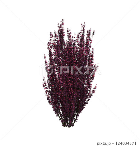 bush isolate on a transparent background, 3D illustration, cg render bush isolate on a transparent background, 3D illustration, cg render 124034571