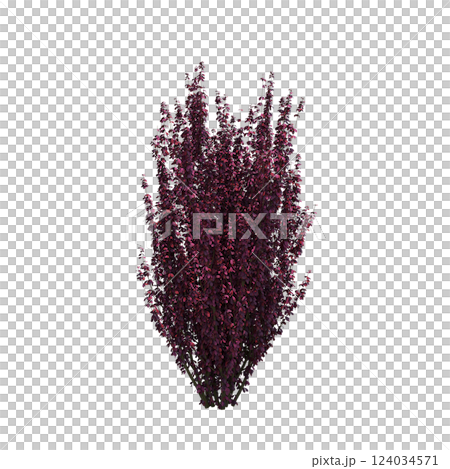 bush isolate on a transparent background, 3D illustration, cg render bush isolate on a transparent background, 3D illustration, cg render 124034571