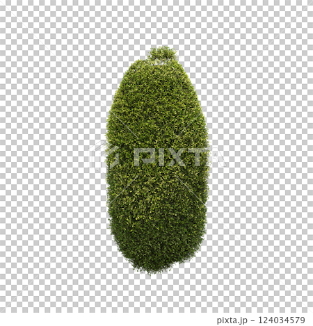 bush isolate on a transparent background, 3D illustration, cg render 124034579