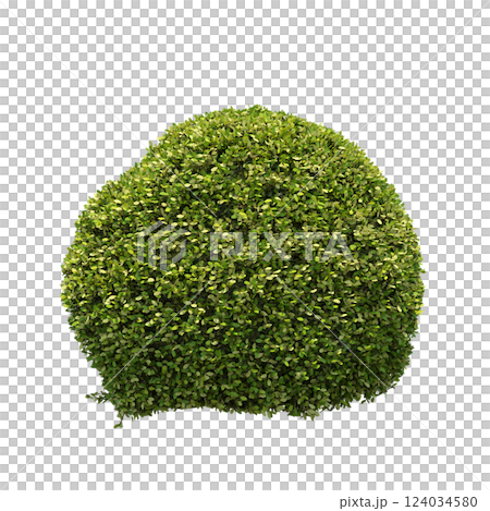 bush isolate on a transparent background, 3D illustration, cg render 124034580