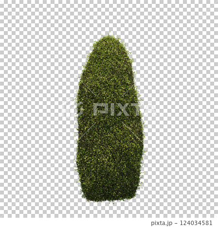 bush isolate on a transparent background, 3D illustration, cg render 124034581