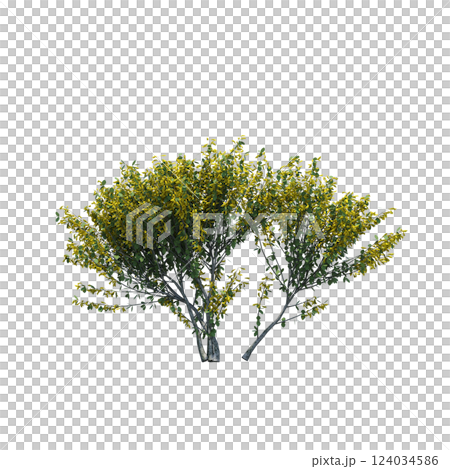 bush isolate on a transparent background, 3D illustration, cg render 124034586