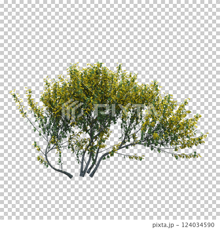 bush isolate on a transparent background, 3D illustration, cg render 124034590
