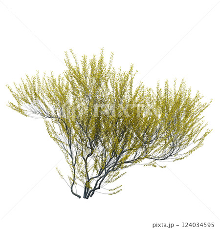 bush isolate on a transparent background, 3D illustration, cg render bush isolate on a transparent background, 3D illustration, cg render 124034595