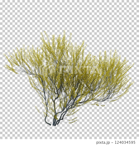 bush isolate on a transparent background, 3D illustration, cg render bush isolate on a transparent background, 3D illustration, cg render 124034595