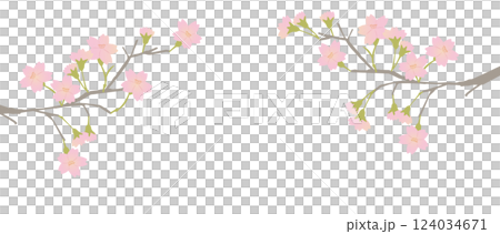 盛開的櫻花枝插圖，具有美麗的漸層色彩 124034671