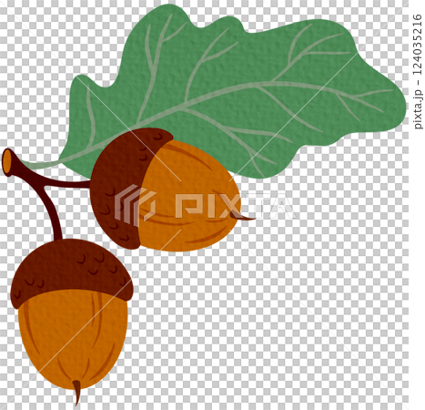 Branch of acorn fruits and leaves, tree leaf, oak autumn leafage cartoon icon. Vector herbarium, autumn leafage foliage symbol. Branch of acorn fruits and leaves, tree leaf, oak autumn leafage cartoon icon. Vector herbarium, autumn leafage foliage symbol. 124035216