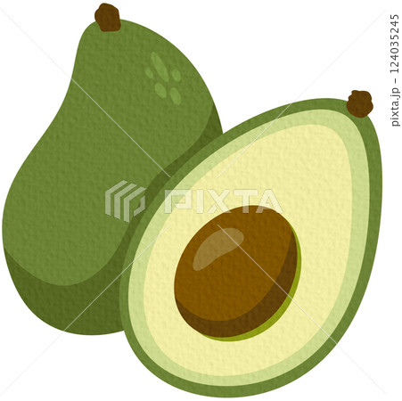 Two green avocado, whole and cut half with seed. Hand drawn cartoon fruit illustration on white background. Two green avocado, whole and cut half with seed. Hand drawn cartoon fruit illustration on white background. 124035245