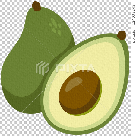 vector, fruits, avocado 124035245