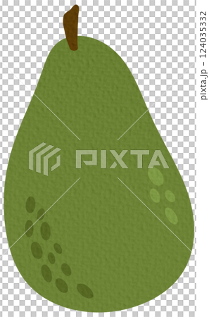 vector, fruits, avocado 124035332