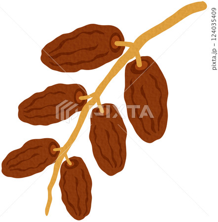 Dates Fruit on white background. 124035409