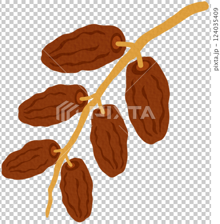 Dates Fruit on white background. 124035409