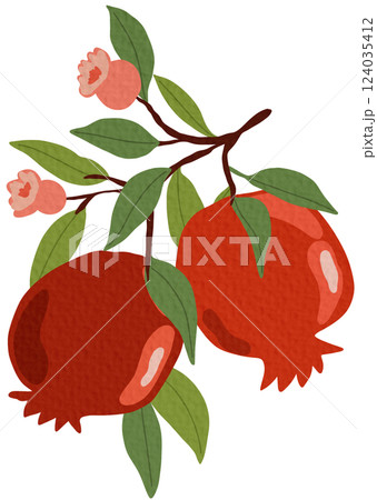 Pomeganate fruit branches with ripe fruits, blooms and leaves, hand drawn fruits on white background.	 124035412