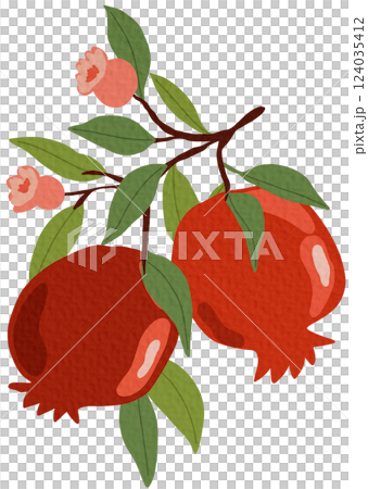 Pomeganate fruit branches with ripe fruits, blooms and leaves, hand drawn fruits on white background.	 124035412