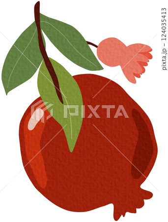 Pomeganate fruit branches with ripe fruits, blooms and leaves, hand drawn fruits on white background.	 124035413