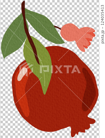 Pomeganate fruit branches with ripe fruits, blooms and leaves, hand drawn fruits on white background.	 124035413